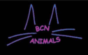 BCN ANIMALS