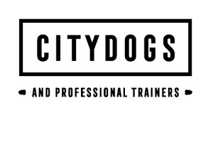 CityDogs Store
