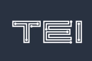 Tu Empresa Informática, logo