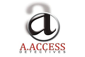 Accés Detectius